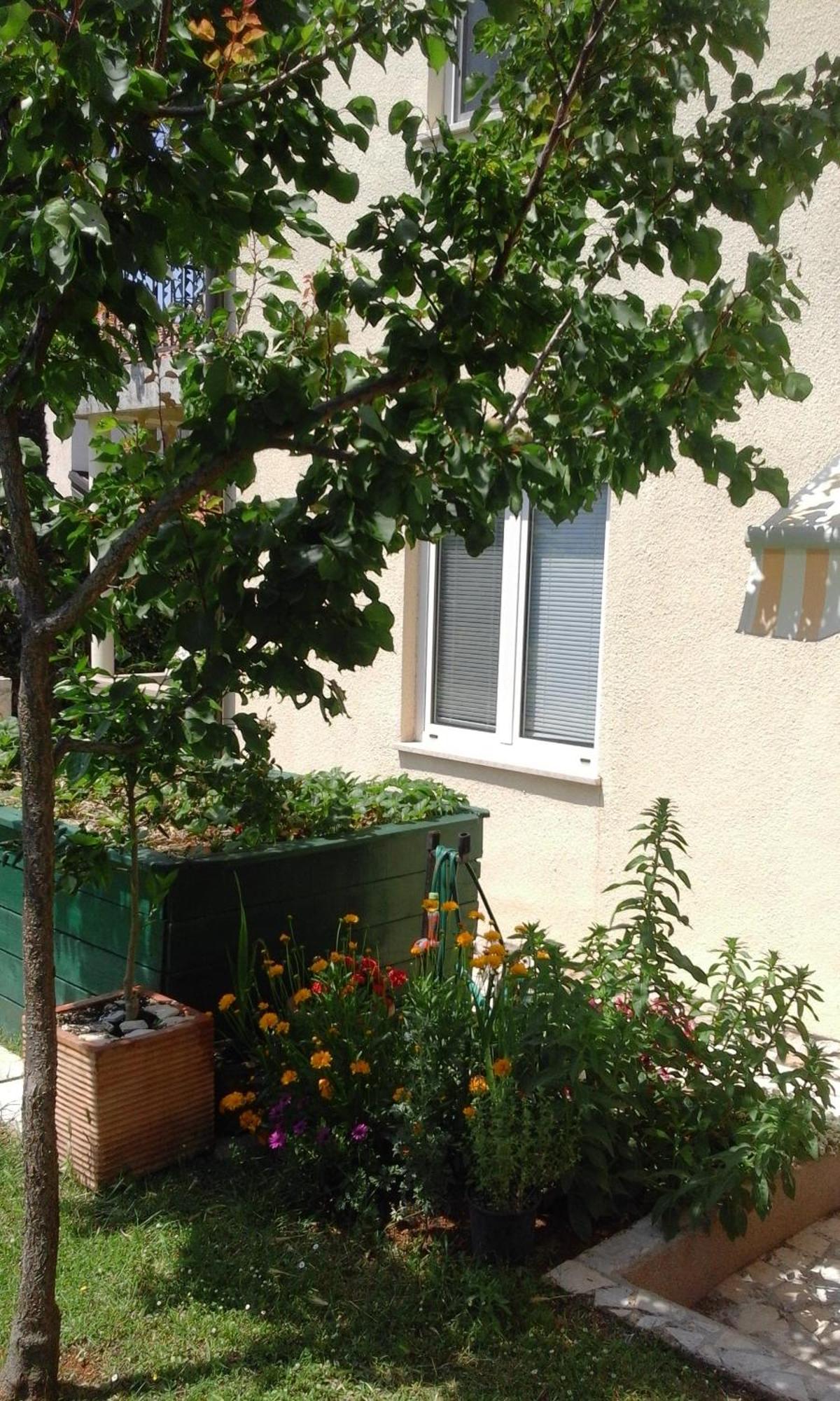 Apartment Laura Пореч Экстерьер фото